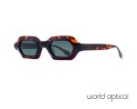 ΓΥΑΛΙΑ ΗΛΙΟΥ WORLD OPTICAL mod 961B09 col 2